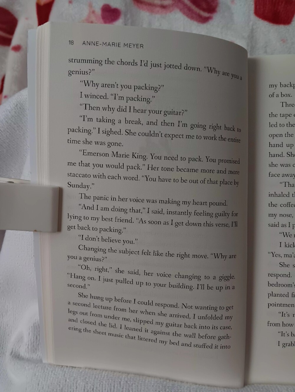 Book: Lucky Charm - Picture 9 of 12